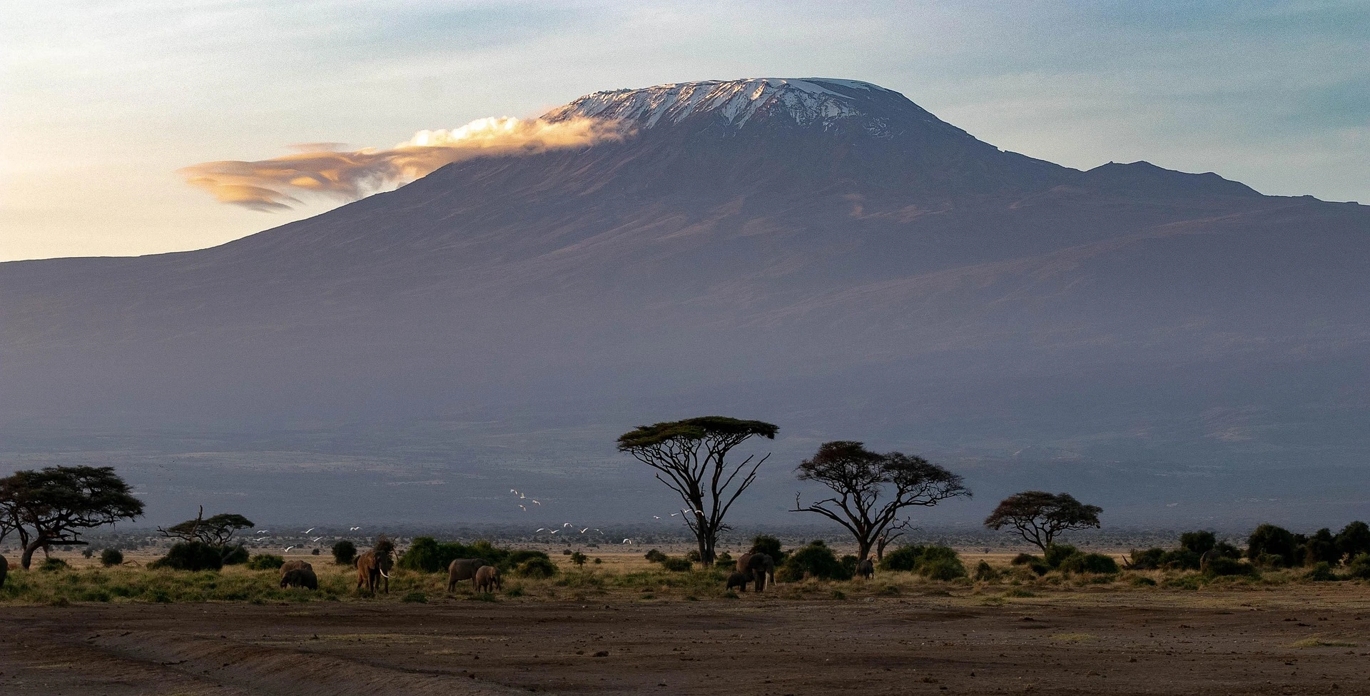 Mt. Kilimanjaro seen from Amboseli National Reserve