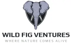wildfigventures